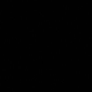 Meet your Posher, Fabian